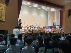 IMG_1217.jpeg