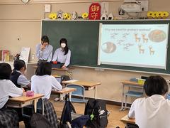 IMG_1237.jpeg