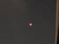 IMG_1720.jpg