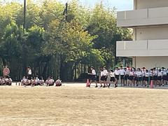 IMG_1382.jpeg