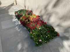 IMG_1388.jpeg