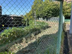 IMG_1390.jpeg