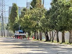 IMG_1391.jpeg