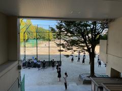 IMG_1403.jpeg