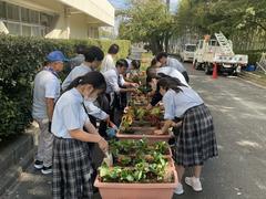 IMG_1440.jpeg