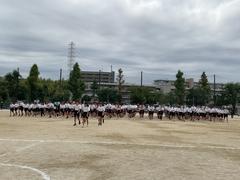 IMG_1450.jpeg
