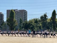 IMG_1645.jpeg