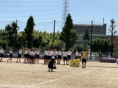 IMG_1647.jpeg