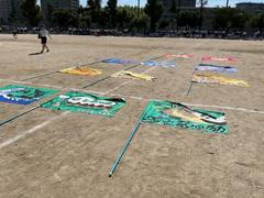 IMG_1648.jpeg