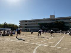 IMG_1667.jpeg