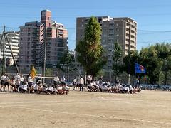 IMG_1684.jpeg