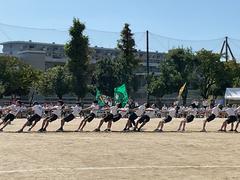 IMG_1646.jpeg