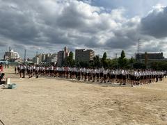 IMG_1385.jpeg