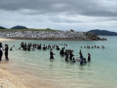 IMG_0377.jpg