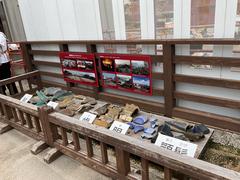 IMG_0662.jpeg