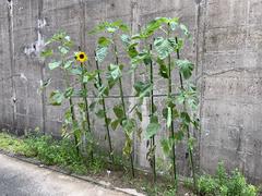 IMG_0702.jpeg