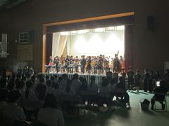 IMG_1417.jpeg