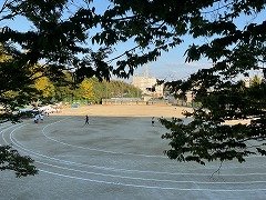 IMG_1601.jpg