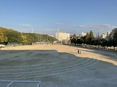IMG_1602.jpg