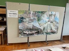 IMG_1270.jpg