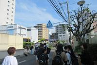 IMG_1546.JPG