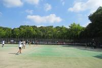 IMG_1549.JPG