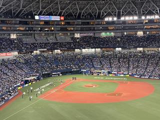 image1.jpeg