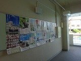 DSC02568.jpg