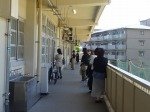 DSC02761.jpg