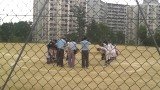 WIN_20260719_11_13_47_Pro.jpg