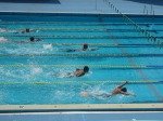 DSC03226.jpg