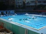 DSC03087.jpg