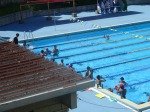 DSC03103.jpg
