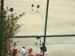 DSC03200.jpg