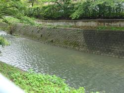 DSC03269.JPG