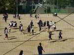 DSC03453.jpg