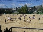 DSC03455.jpg