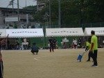 DSC03462.jpg