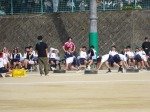 DSC03542.jpg