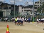 DSC03603.jpg