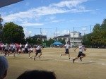 DSC03630.jpg