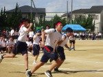 DSC03761.jpg