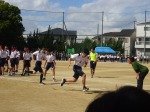 DSC03802.jpg