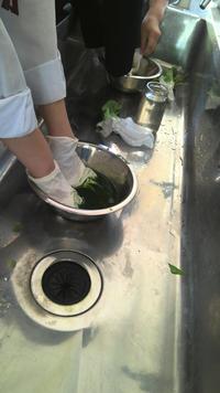 藍染１
