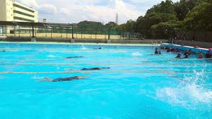 実習生1年水泳クロール