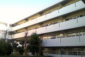 １階から観客１