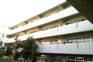 １階から観客２