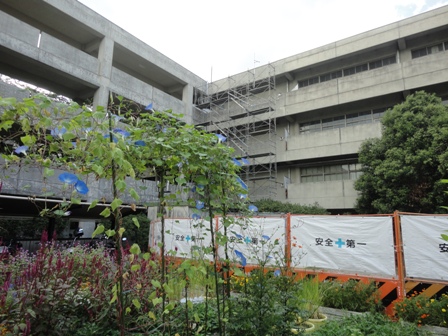 工事中庭DSC04110.jpg