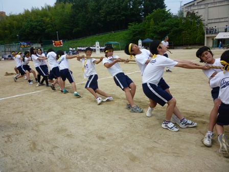 ２０１２年体育大会綱引きweb用P1010263.jpg