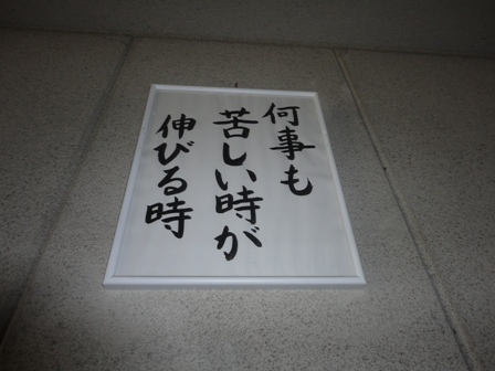 DSC01682.jpg